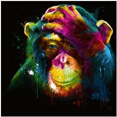 patrice murciano