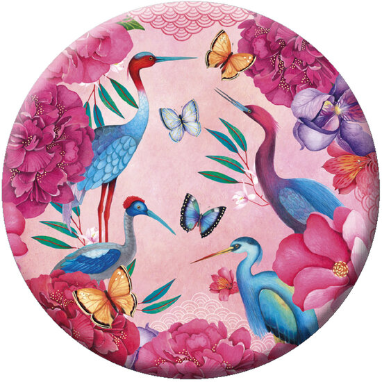 MIR183 - spiegeltje van Mila - vogels en bloemen