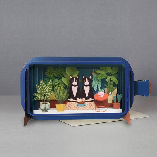 MIB128 Message in a Bottle kaart - katten