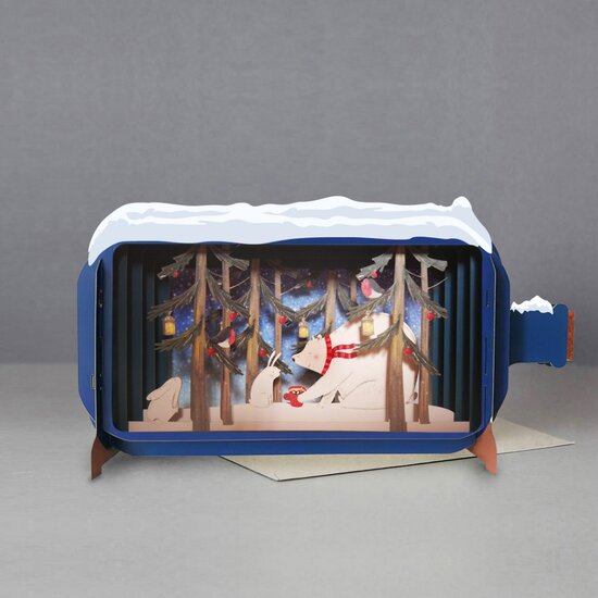 XMIB032 Message in a Bottle kerstkaart - ijsbeer