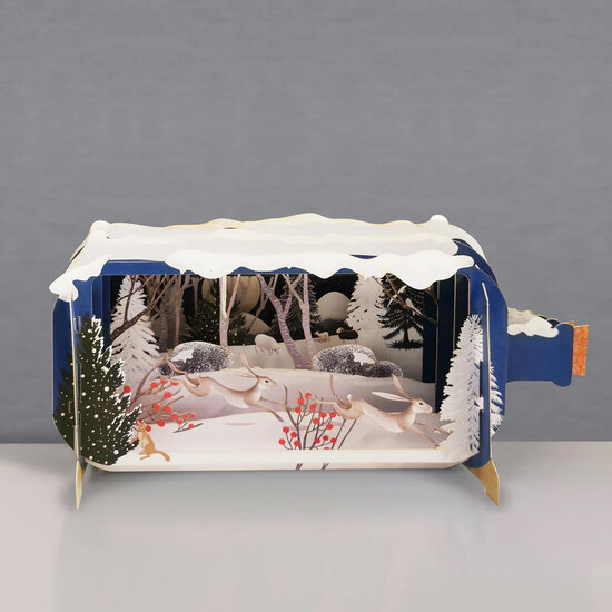 XMIB095 Message in a Bottle kerstkaart - hazen