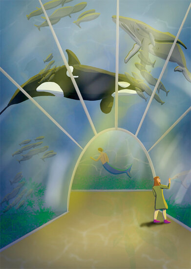 MH202 Grote kaart Hophew Studio - aquarium