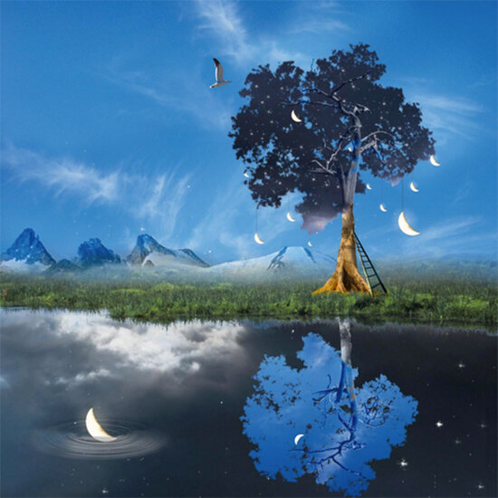 IGP5425 Ma&iuml;lo kaart - L&#039;arbre enchant&eacute;