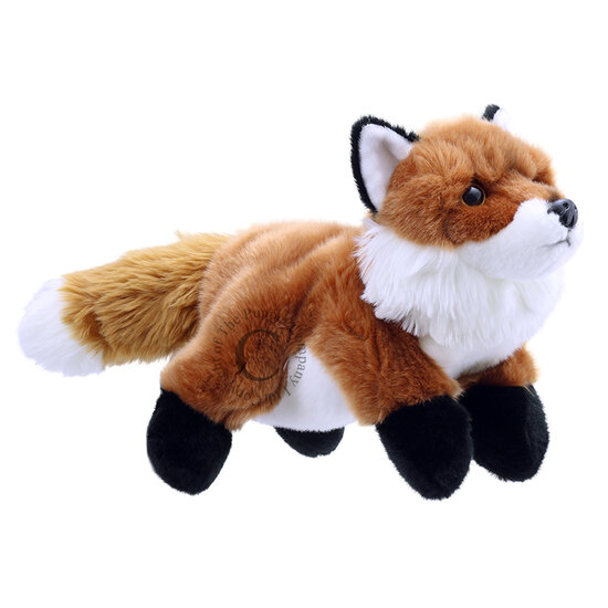 PC001823 Fox vos - full-bodied animal  - handpop