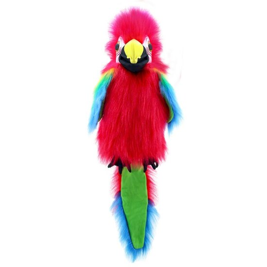 PC003115 Amazon Macaw - Large Birds - handpop