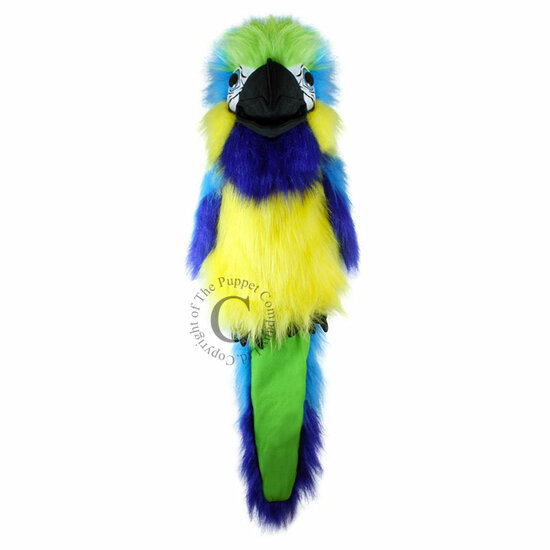 PC003105 Blue and Gold Macaw - Blauw-goude ara - Large Birds - handpop