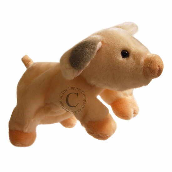 PC001810 Pig varken - full-bodied animal - handpop