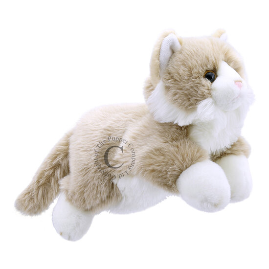 PC001828 Cat kat beige - full-bodied animal - handpop