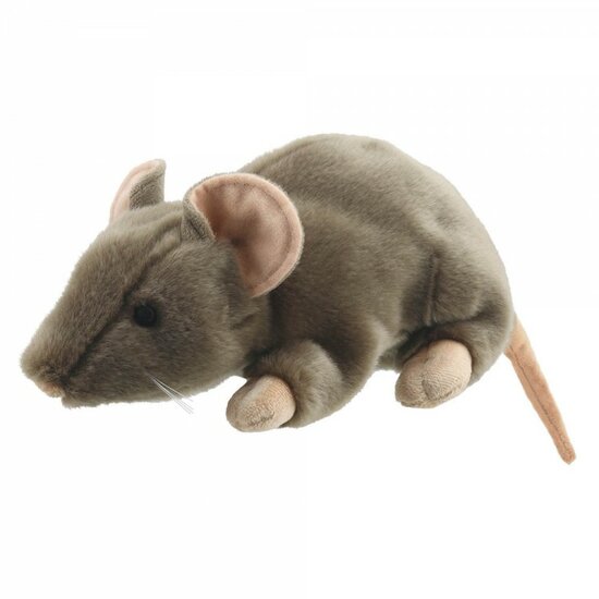 PC001836 Bruine rat - full-bodied animal - handpop
