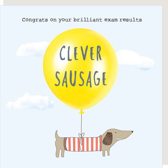 AC013 &ndash; rosiemadeathing wenskaart examen - clever sausage