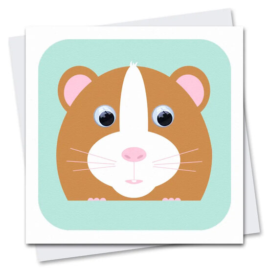STR077 wenskaart Stripey Cats - boerenerf Holly Hamster