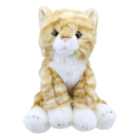 WB001602 Kat - Ginger - Wilberry Favourites