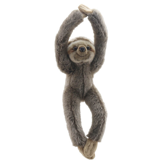 WB002604 Luiaard - Wilberry Canopy Climbers