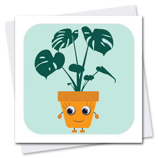 STR931 wenskaart Stripey Cats - Holly House Plant