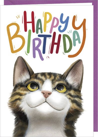 D097 - wenskaart Rosie Hilyer - happy birthday - kat