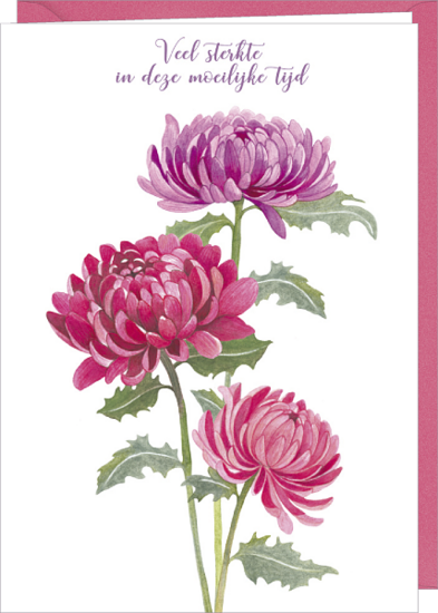 D166 - wenskaart MM - veel sterkte - dahlia