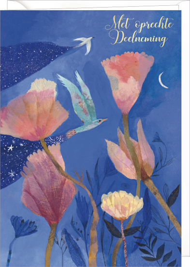 D163 - wenskaart Izou - met oprechte deelneming - nacht