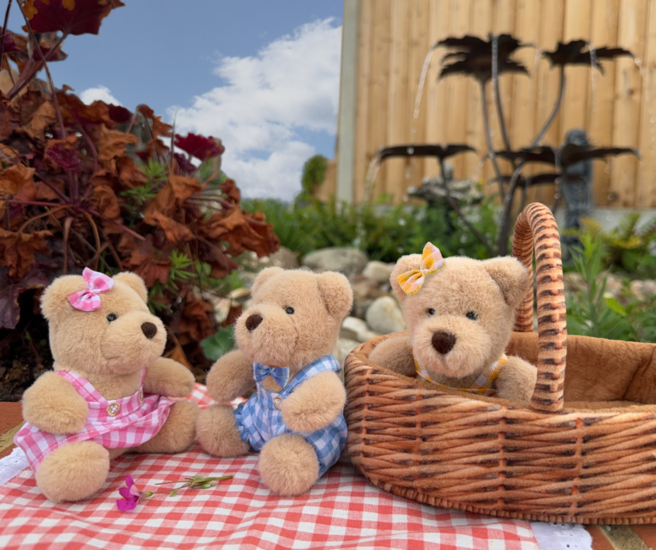 WB001305 Wilberry picknick beren set
