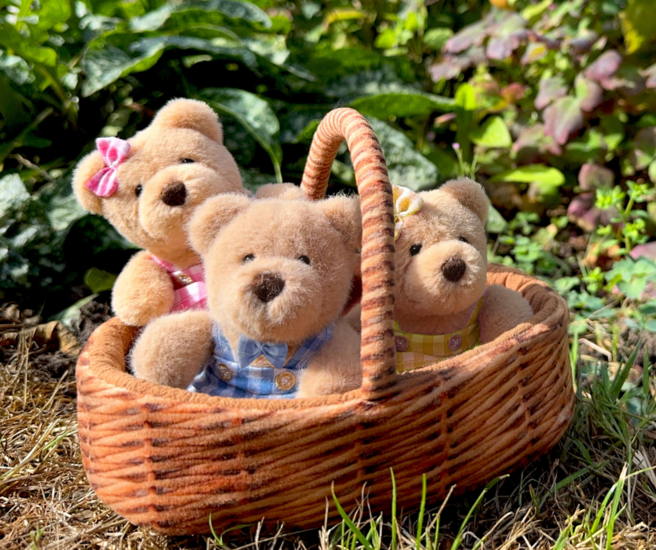 WB001305 Wilberry picknick beren set
