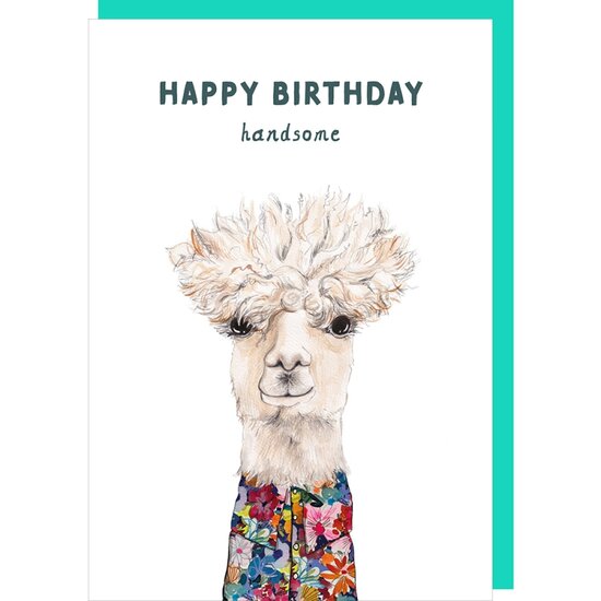 TT036&ndash; Rosie made a thing - Tipp Top wenskaart - birthday handsome | Mano cards groothandel