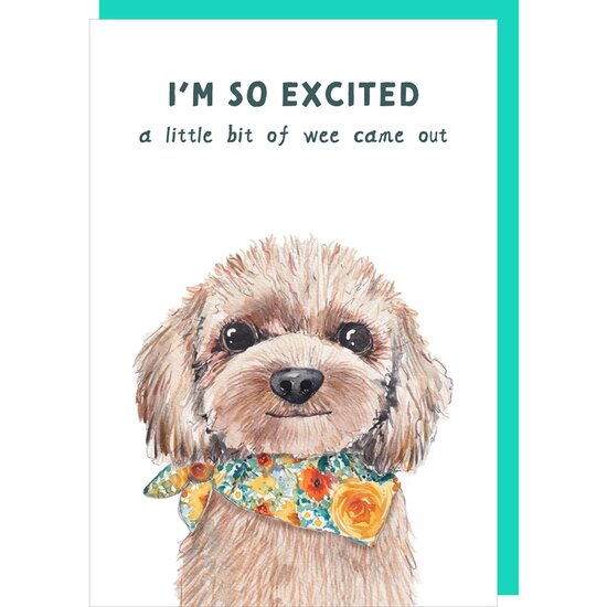 TT037&ndash; Rosie made a thing - Tipp Top wenskaart - so excited | Mano cards groothandel