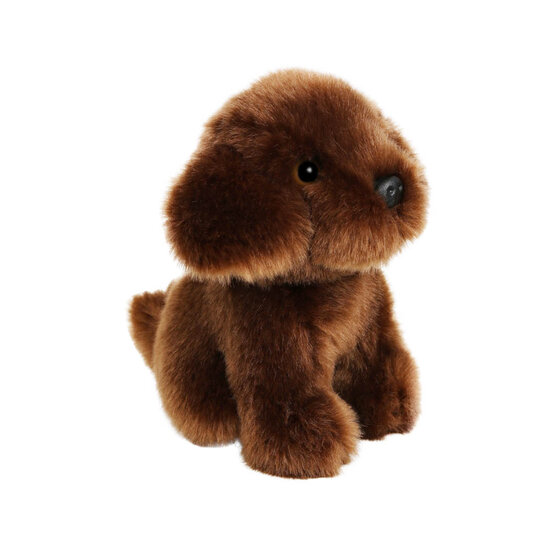 WB005065 Labrador - Wilberry Minis