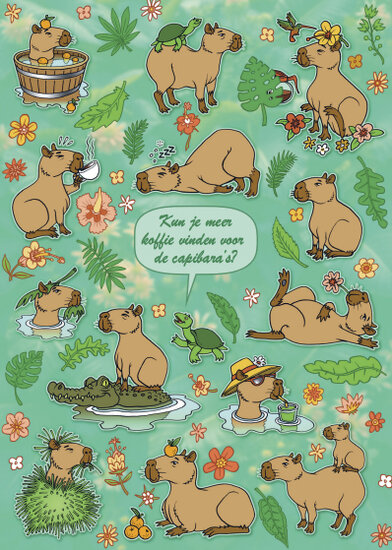 REG018 rode egel zoekopdracht ansichtkaart - capibara | mano cards groothandel