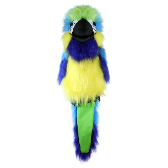 PC003105 Blue and Gold Macaw - Blauw-goude ara - Large Birds - handpop