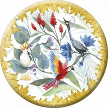 MIR170 - spiegeltje van Aurélie Blanz - papagaai