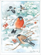k16462 ansichtkaart - vinken in de sneeuw