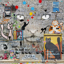 IGP8794 Maïlo kaart - katten