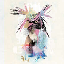 IGP8776 André Sanchez kaart - pinguin