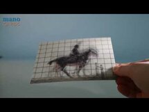 LP353 Wisselbeeldkaart - Paard met ruiter (Muybridge)