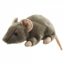 PC001836 Bruine rat - full-bodied animal - handpop