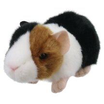 WB005044 Guinea Pig - Cavia - Wilberry Minis