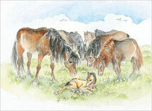 16359 ansichtkaart paarden