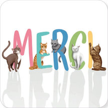 BAR310 Rosie Hilyer kaart - merci katten