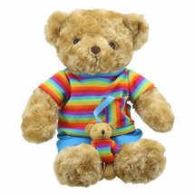 WB005418 Regenboog Beer - Wilberry Dressed Animals