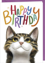 D097 - wenskaart Rosie Hilyer - happy birthday - kat