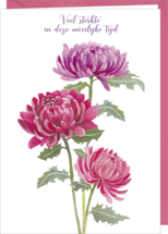 D166 - wenskaart MM - veel sterkte - dahlia