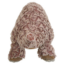 PC001839 Schubdier - termieteneter - pangolin - full-bodied animal - handpop 