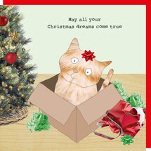 xGF129 – Rosie made a thing kerstkaart - xmas dreams