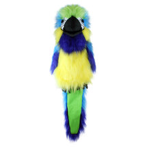 PC003105 Blue and Gold Macaw - Blauw-goude ara - Large Birds - handpop