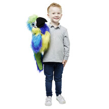 PC003105 Blue and Gold Macaw - Blauw-goude ara - Large Birds - handpop