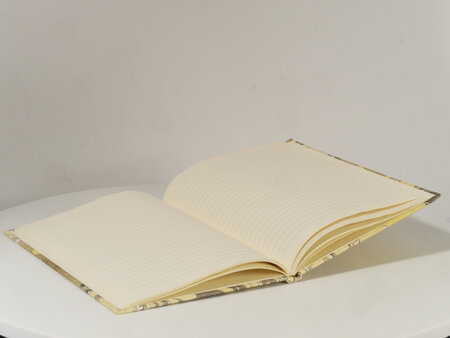Luxe notitieboek gemarmerde omslag - gelinieerd - A5 - design T15