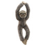 WB002604 Luiaard - Wilberry Canopy Climbers