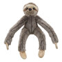 WB002604 Luiaard - Wilberry Canopy Climbers
