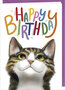 D097 - wenskaart Rosie Hilyer - happy birthday - kat
