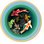 TEA006 a Cup of Tea kaart - koi karper
