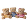 WB001305 Wilberry picknick beren set